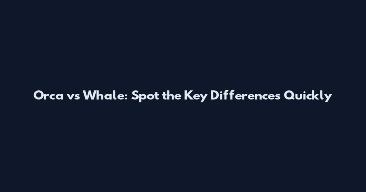 Orca vs Whale: Spot the Key Differences Quickly