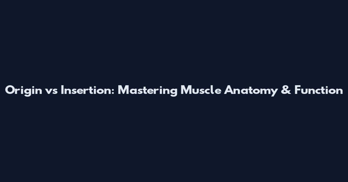 Origin vs Insertion: Mastering Muscle Anatomy & Function