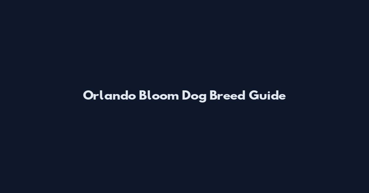 Orlando Bloom Dog Breed Guide
