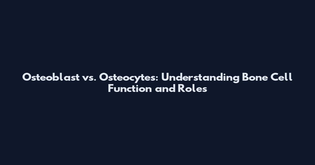 Osteoblast vs. Osteocytes: Understanding Bone Cell Function and Roles