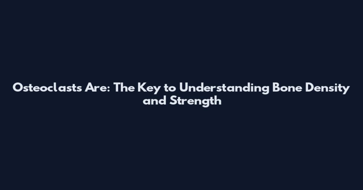 Osteoclasts Are: The Key to Understanding Bone Density and Strength