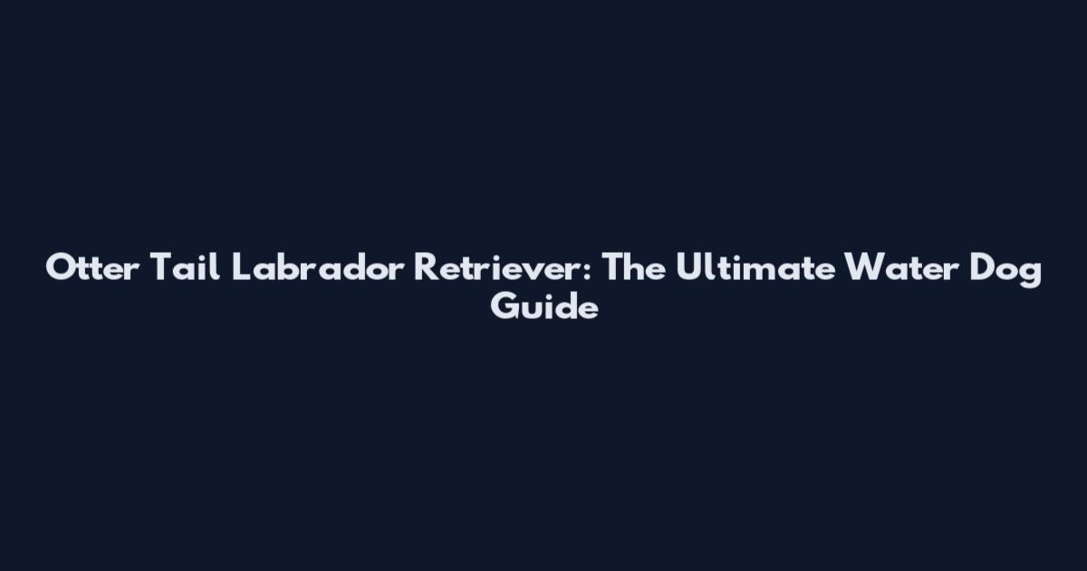 Otter Tail Labrador Retriever: The Ultimate Water Dog Guide