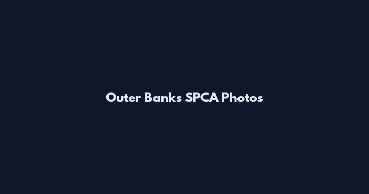 Outer Banks SPCA Photos