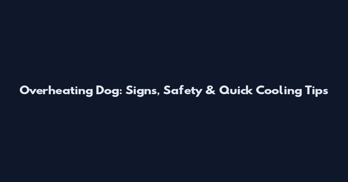Overheating Dog: Signs, Safety & Quick Cooling Tips