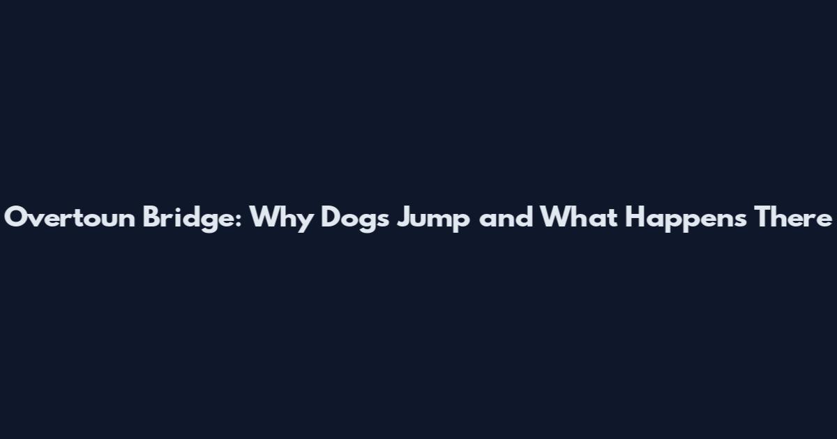 Overtoun Bridge: Why Dogs Jump and What Happens There