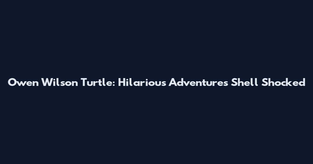 Owen Wilson Turtle: Hilarious Adventures Shell Shocked