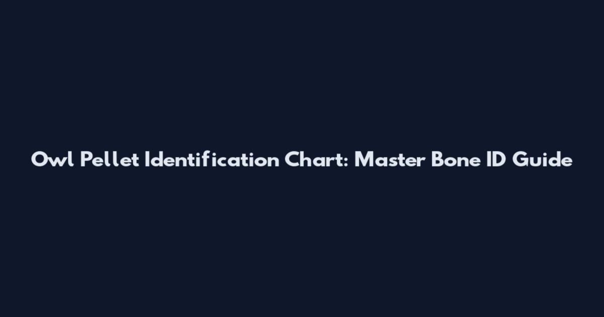 Owl Pellet Identification Chart: Master Bone ID Guide