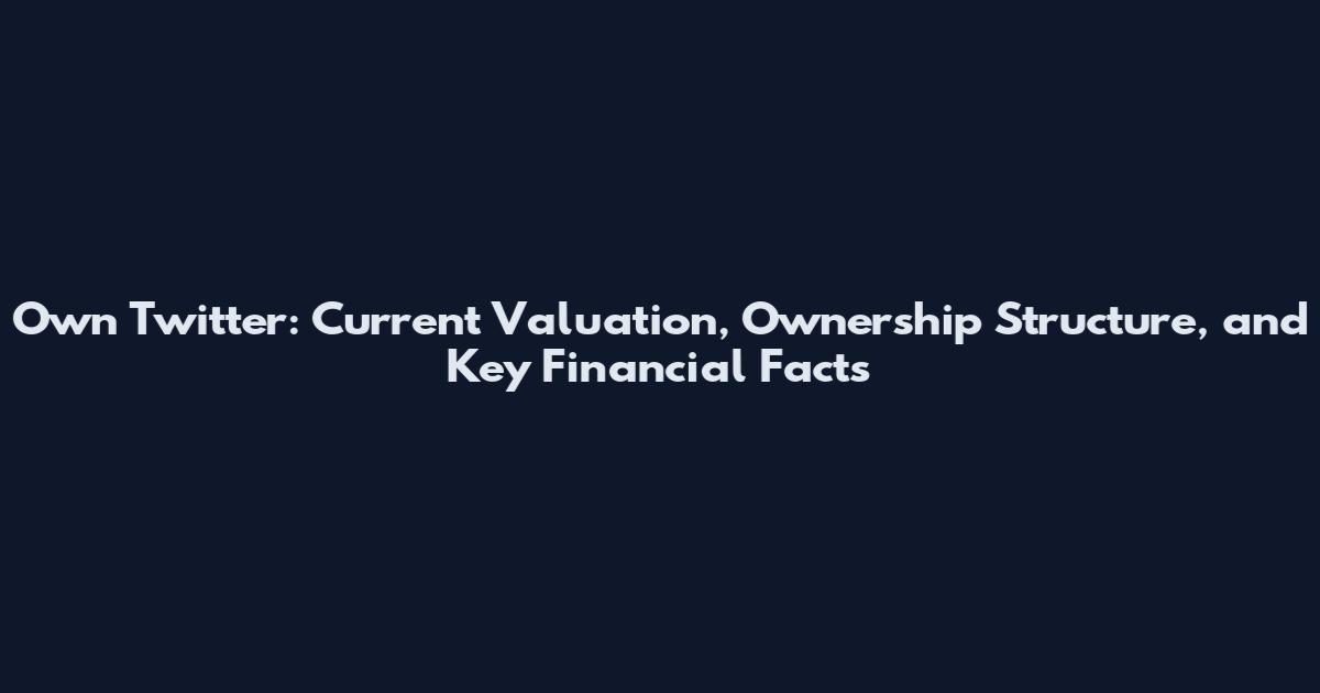 Own Twitter: Current Valuation, Ownership Structure, and Key Financial Facts
