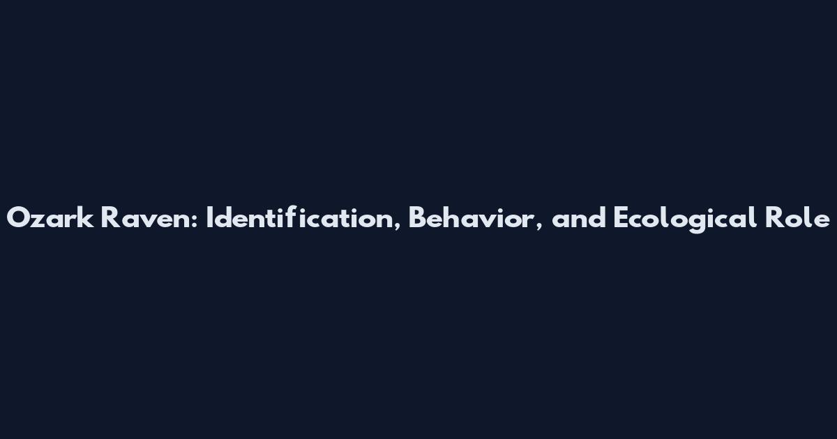 Ozark Raven: Identification, Behavior, and Ecological Role