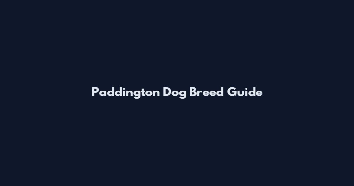 Paddington Dog Breed Guide