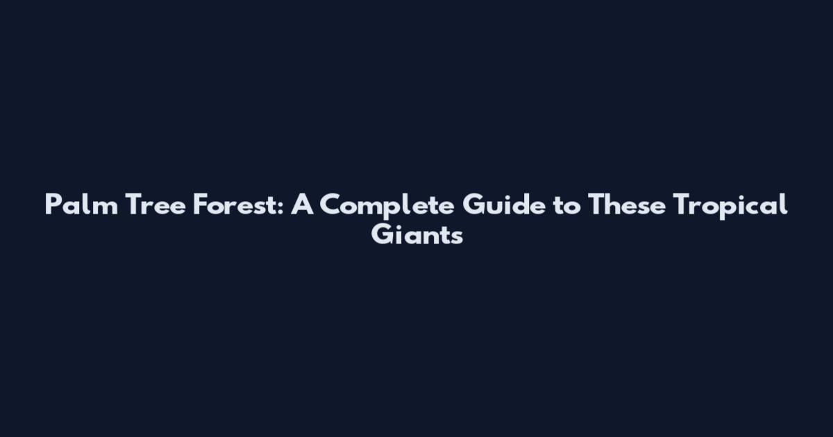 Palm Tree Forest: A Complete Guide to These Tropical Giants