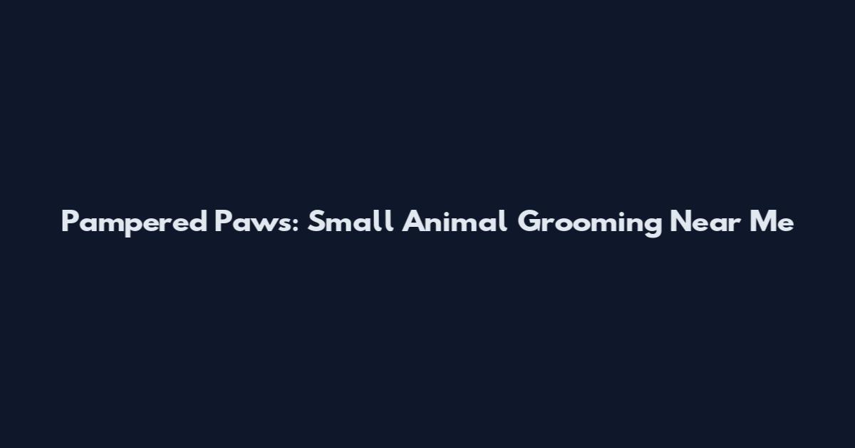 Pampered Paws: Small Animal Grooming Near Me