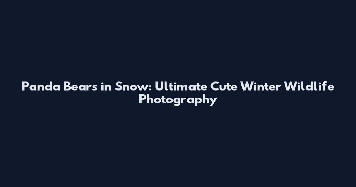 Panda Bears in Snow: Ultimate Cute Winter Wildlife Photography