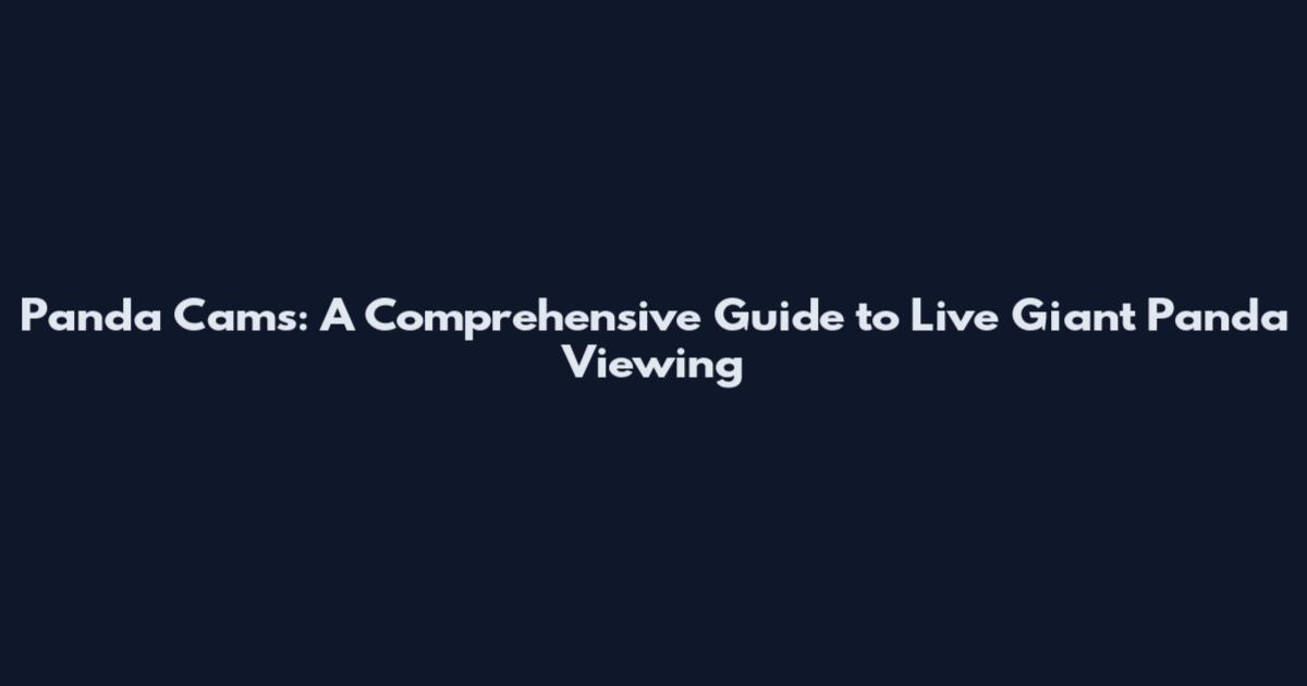 Panda Cams: A Comprehensive Guide to Live Giant Panda Viewing