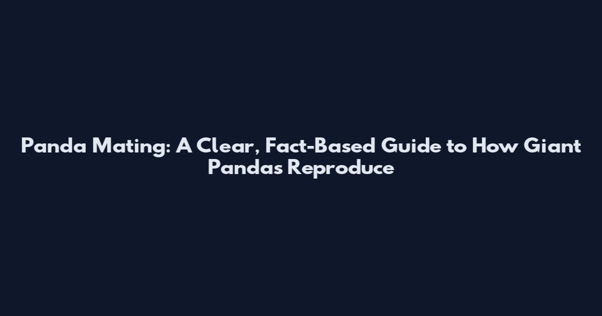 Panda Mating: A Clear, Fact-Based Guide to How Giant Pandas Reproduce