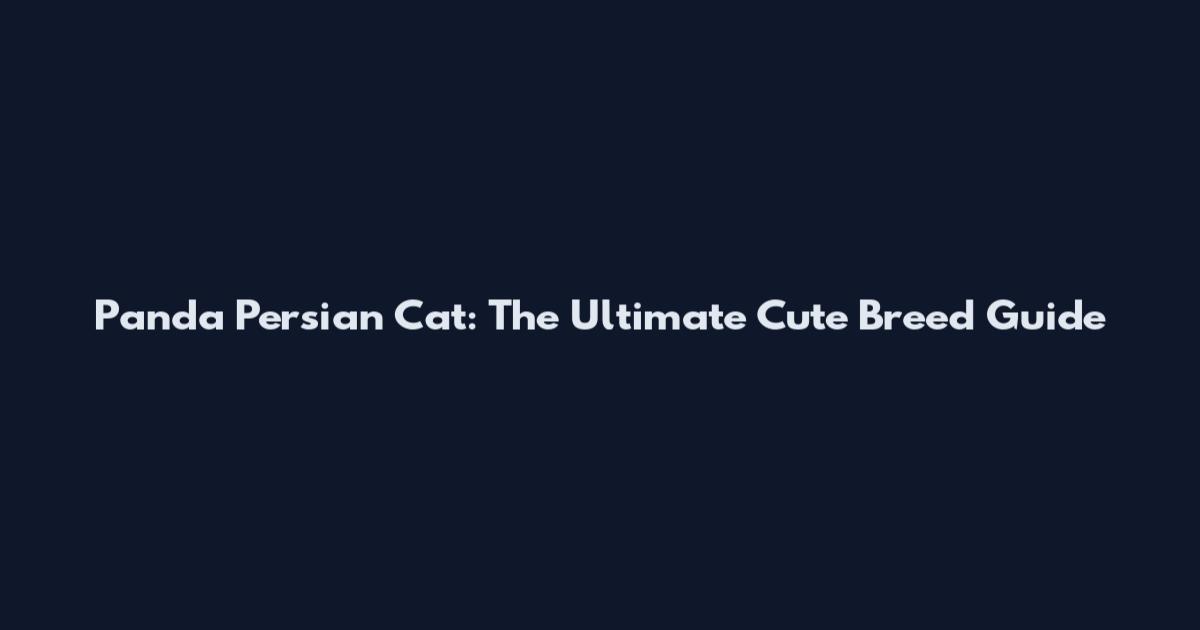 Panda Persian Cat: The Ultimate Cute Breed Guide