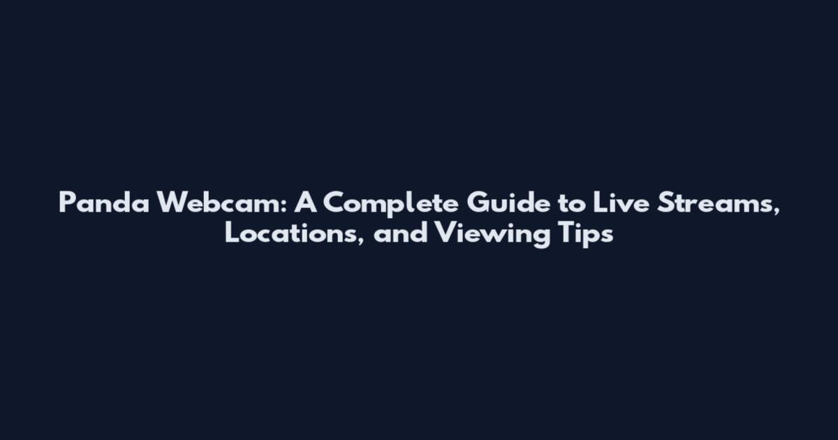 Panda Webcam: A Complete Guide to Live Streams, Locations, and Viewing Tips