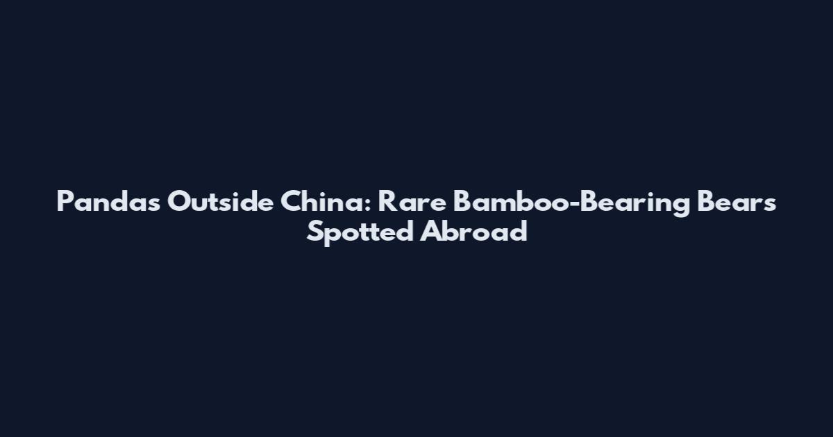Pandas Outside China: Rare Bamboo-Bearing Bears Spotted Abroad