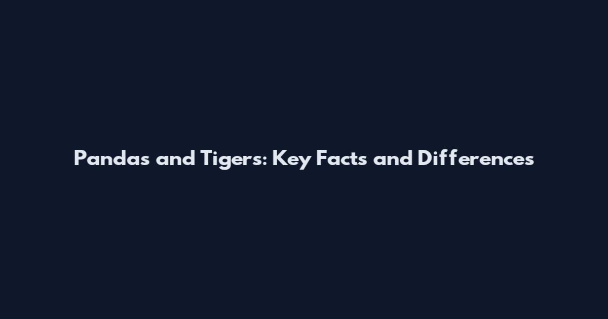 Pandas and Tigers: Key Facts and Differences
