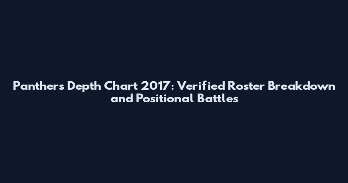 Panthers Depth Chart 2017: Verified Roster Breakdown and Positional Battles