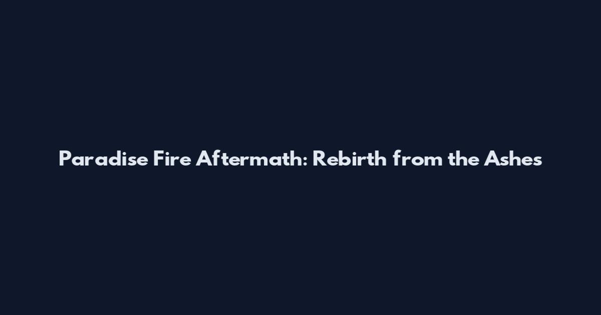 Paradise Fire Aftermath: Rebirth from the Ashes