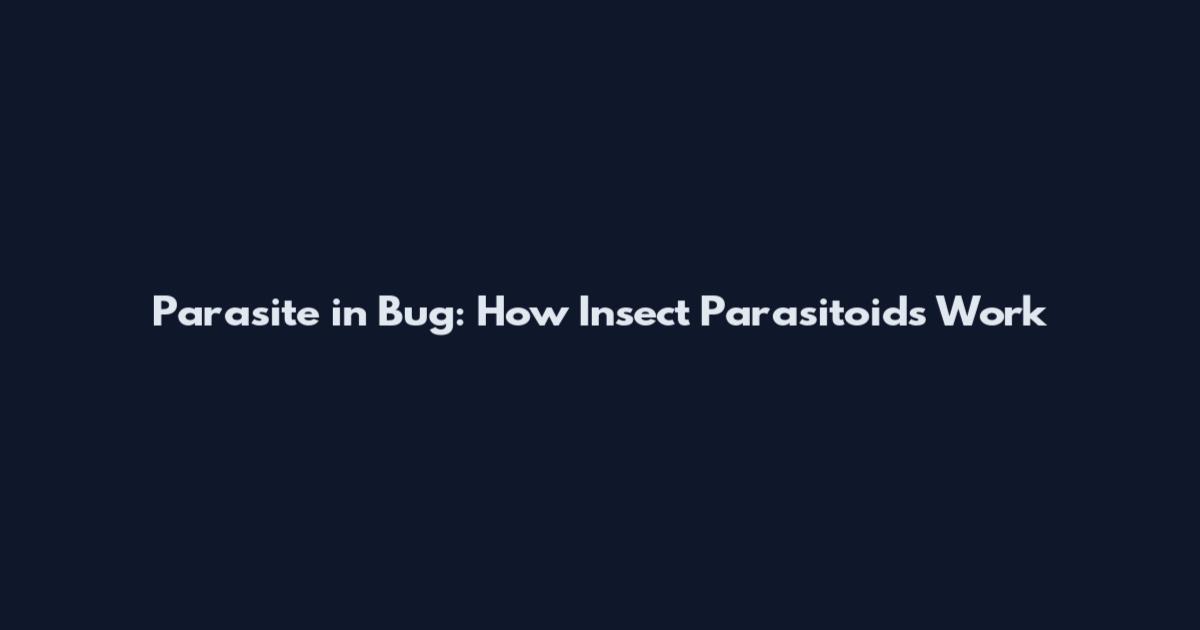 Parasite in Bug: How Insect Parasitoids Work