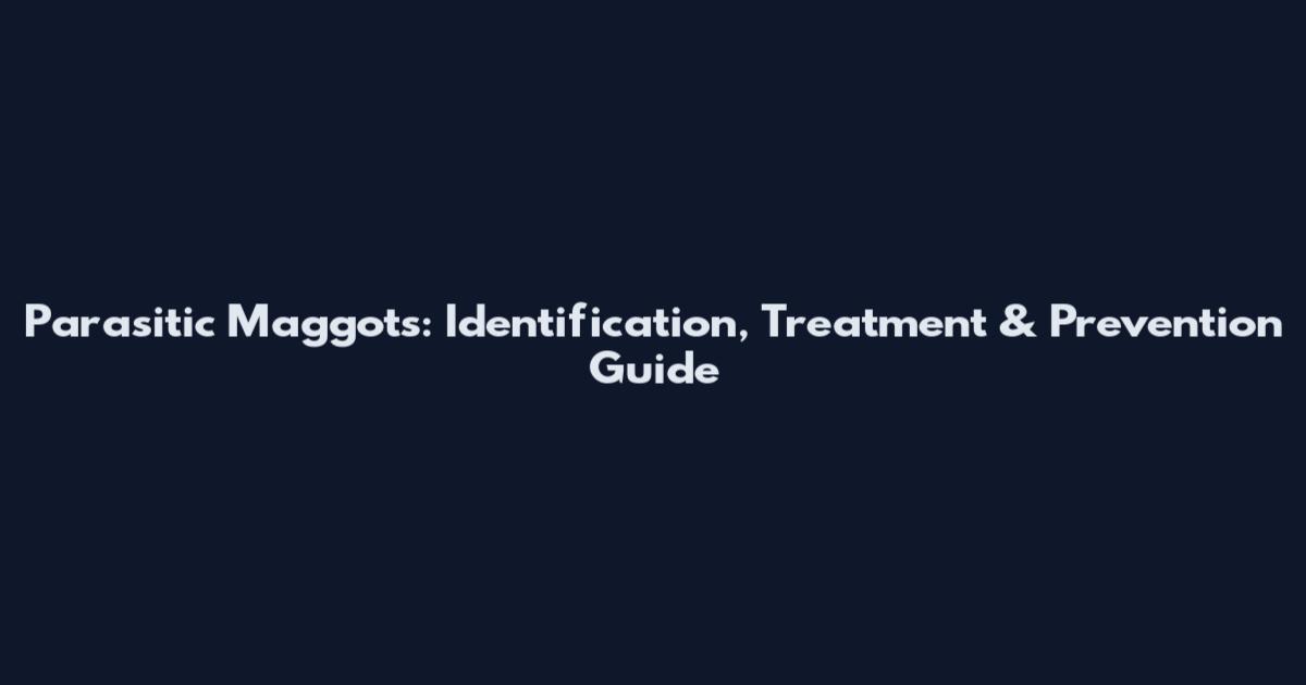Parasitic Maggots: Identification, Treatment & Prevention Guide