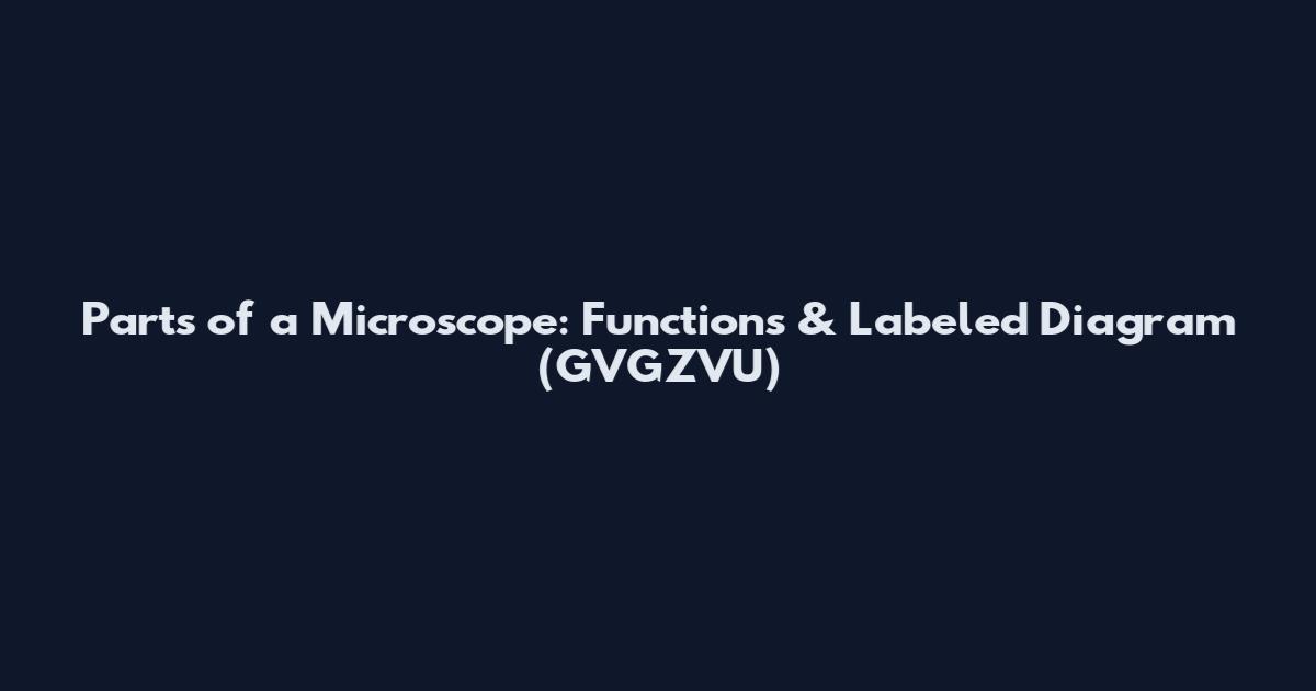 Parts of a Microscope: Functions & Labeled Diagram (GVGZVU)
