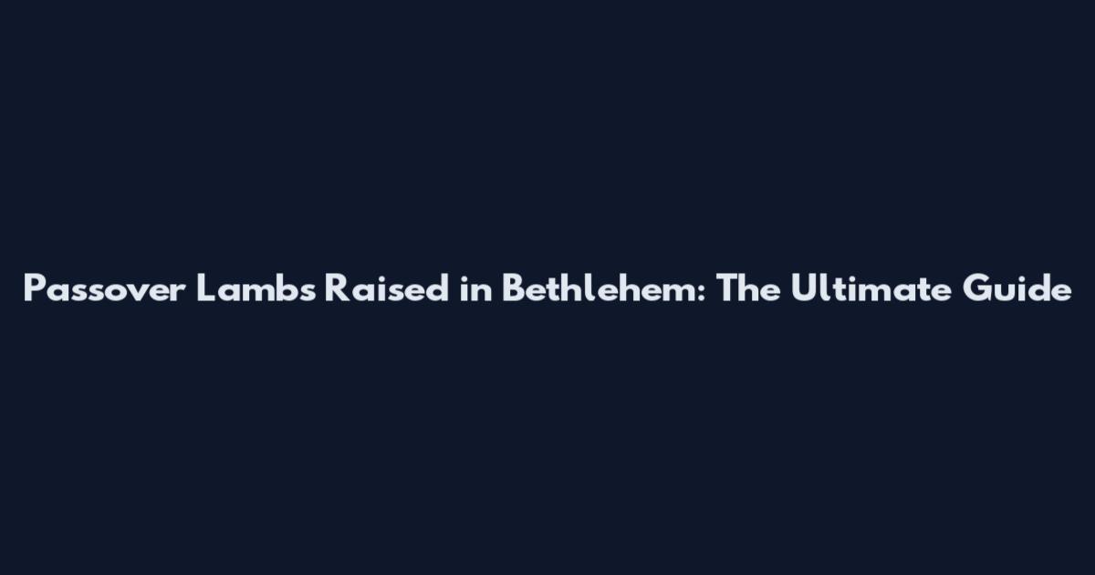 Passover Lambs Raised in Bethlehem: The Ultimate Guide