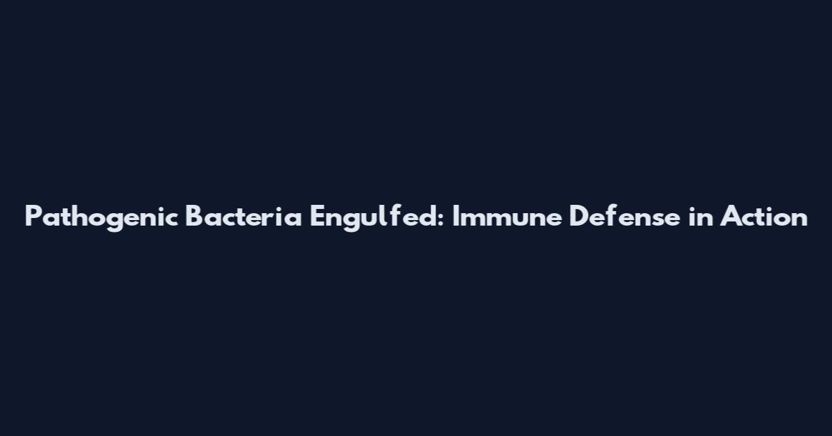 Pathogenic Bacteria Engulfed: Immune Defense in Action