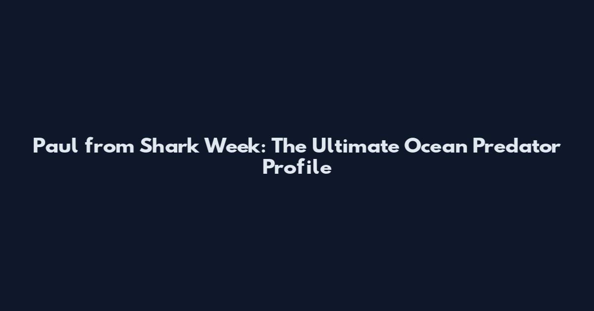 Paul from Shark Week: The Ultimate Ocean Predator Profile