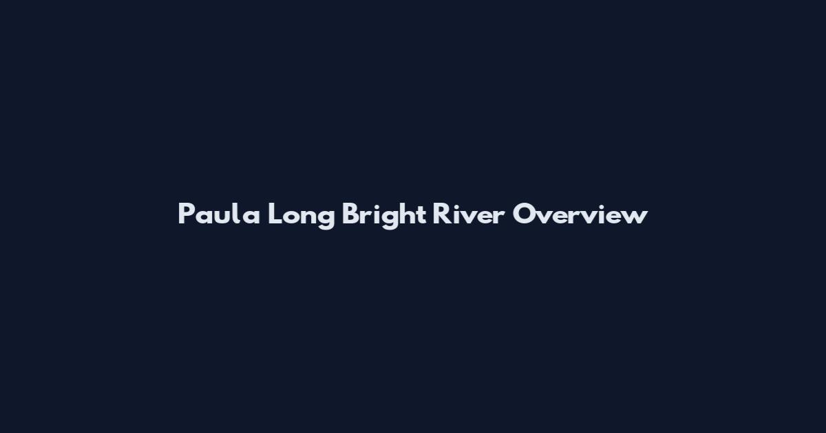 Paula Long Bright River Overview