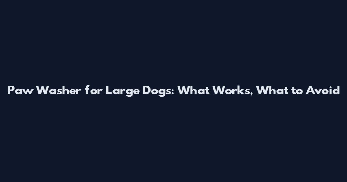 Paw Washer for Large Dogs: What Works, What to Avoid