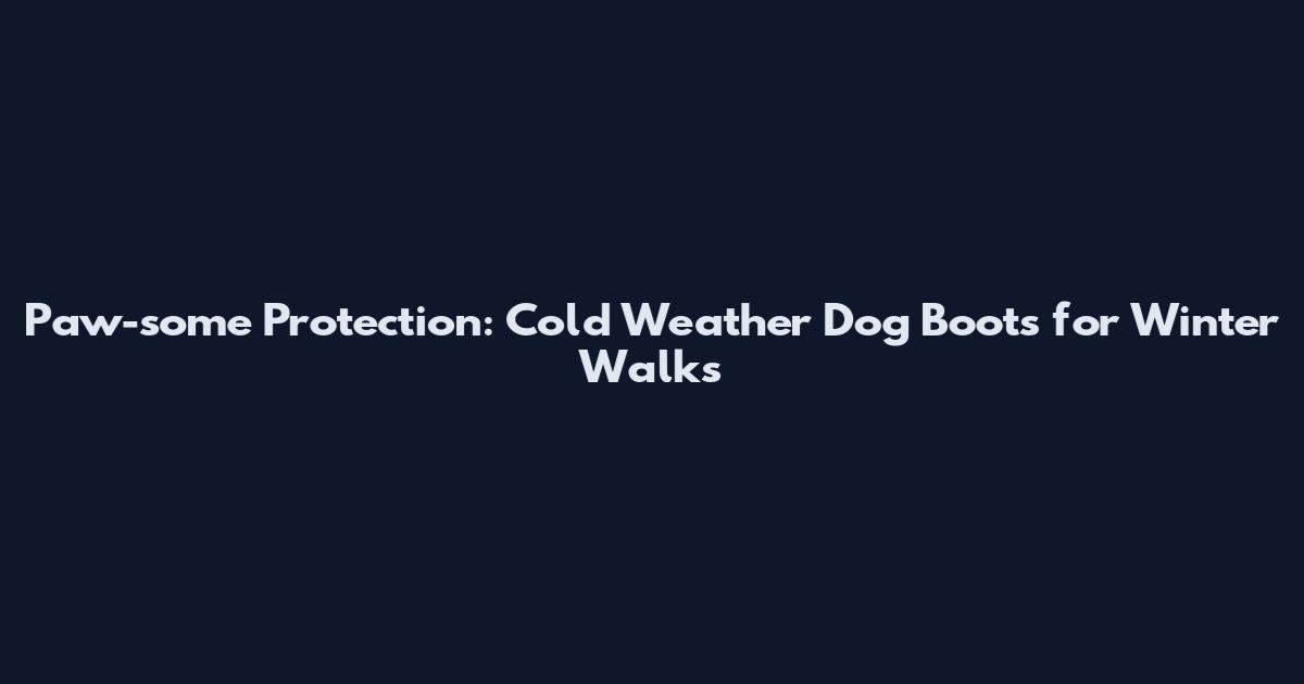 Paw-some Protection: Cold Weather Dog Boots for Winter Walks