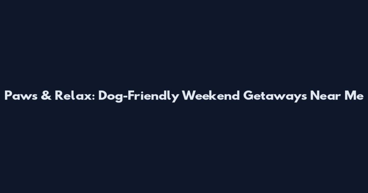 Paws & Relax: Dog-Friendly Weekend Getaways Near Me