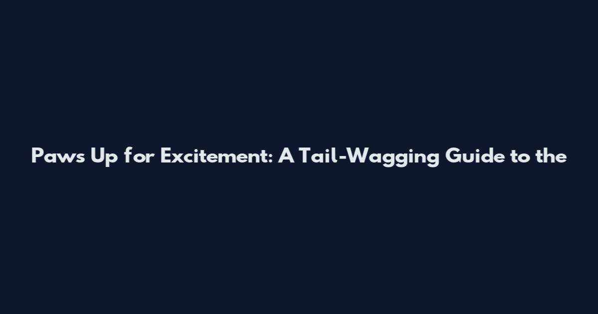 Paws Up for Excitement: A Tail-Wagging Guide to the