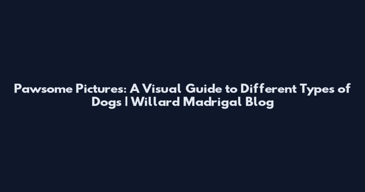 Pawsome Pictures: A Visual Guide to Different Types of Dogs | Willard Madrigal Blog