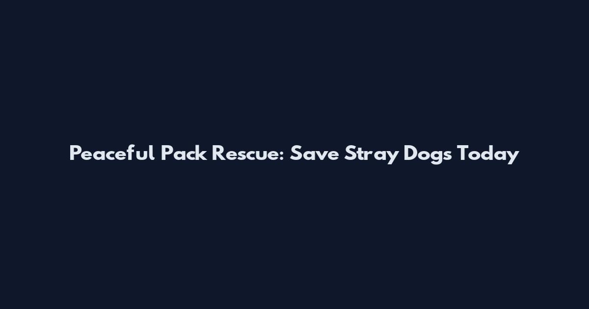 Peaceful Pack Rescue: Save Stray Dogs Today