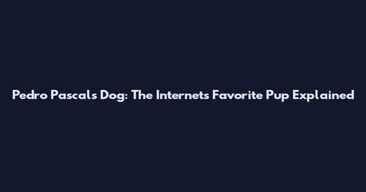 Pedro Pascal's Dog: The Internet's Favorite Pup Explained