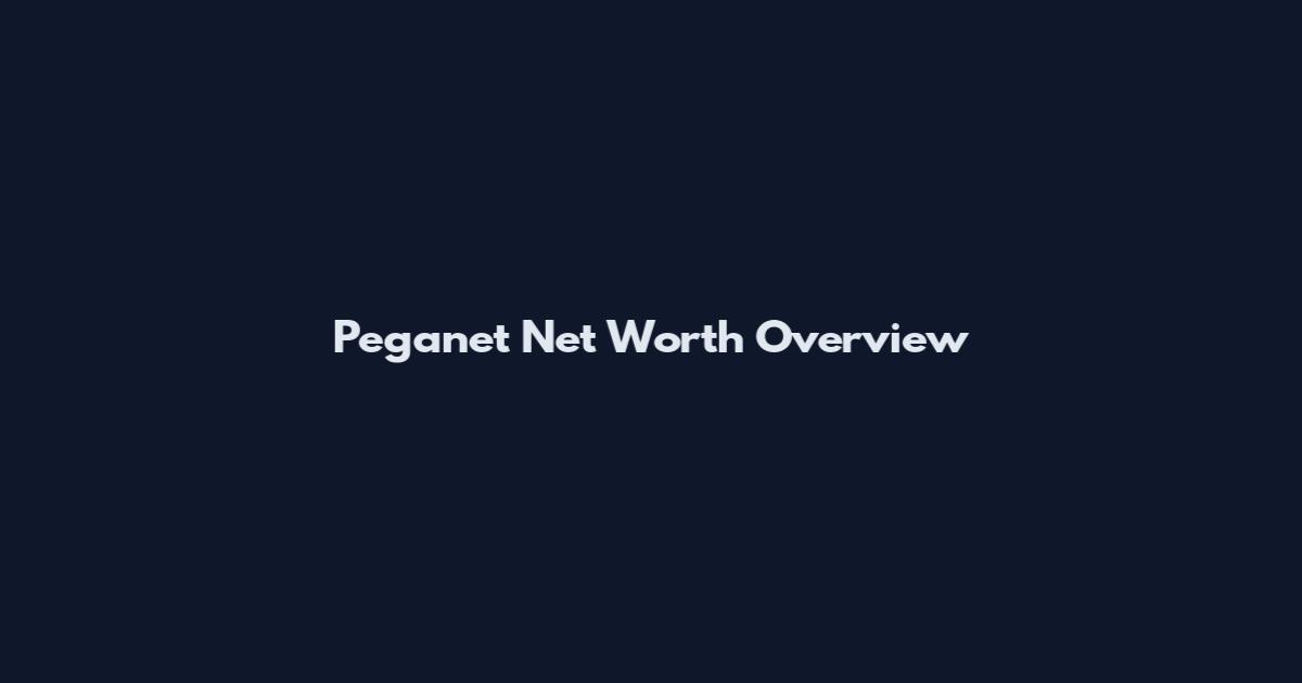 Peganet Net Worth Overview