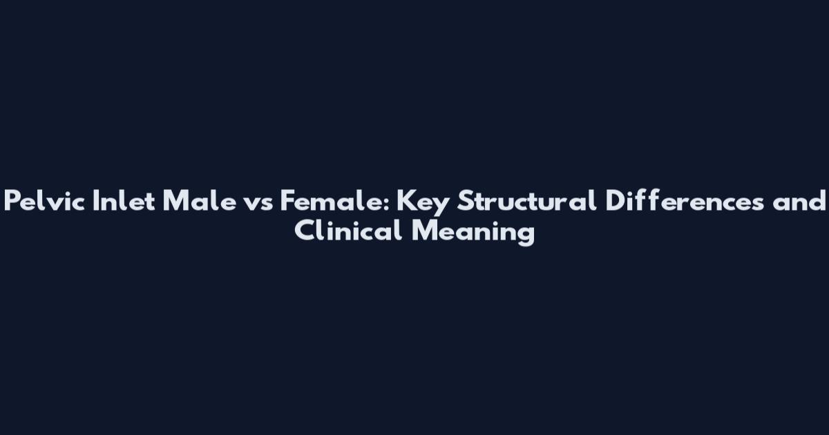 Pelvic Inlet Male vs Female: Key Structural Differences and Clinical Meaning