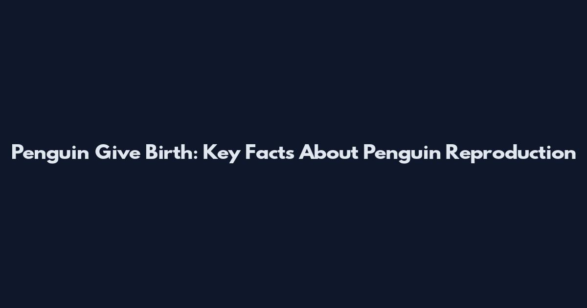 Penguin Give Birth: Key Facts About Penguin Reproduction