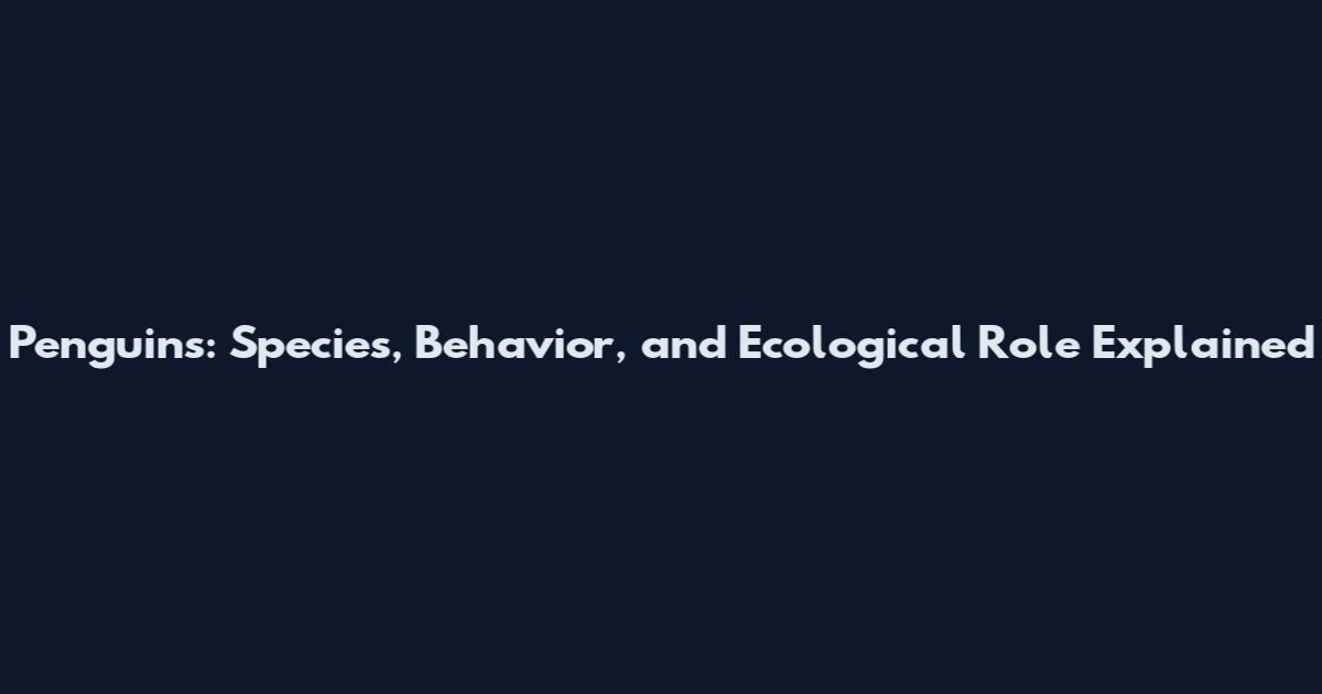 Penguins: Species, Behavior, and Ecological Role Explained