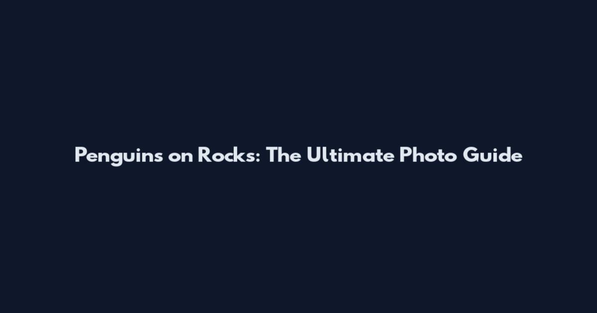Penguins on Rocks: The Ultimate Photo Guide