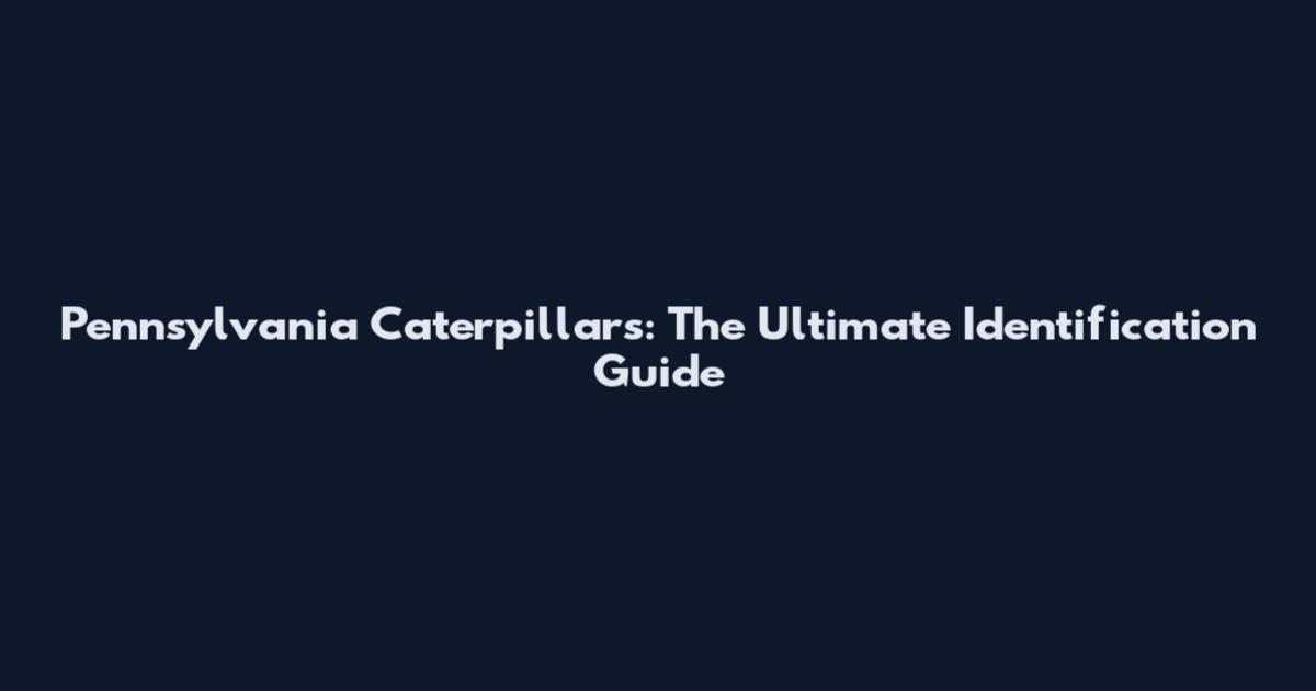 Pennsylvania Caterpillars: The Ultimate Identification Guide