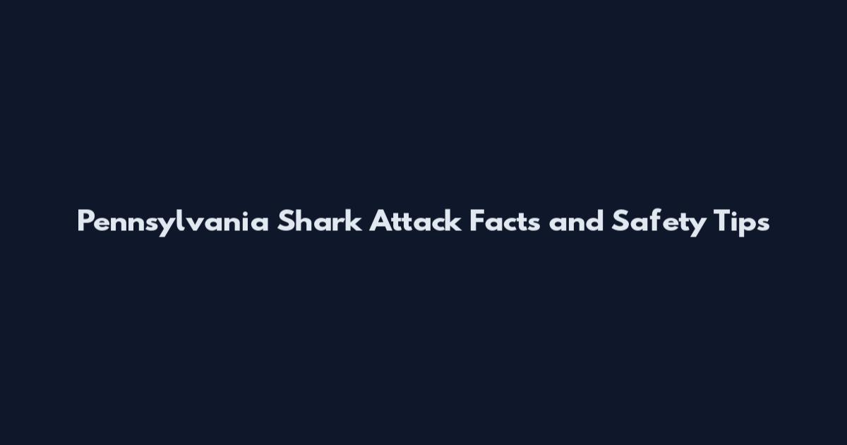 Pennsylvania Shark Attack Facts and Safety Tips