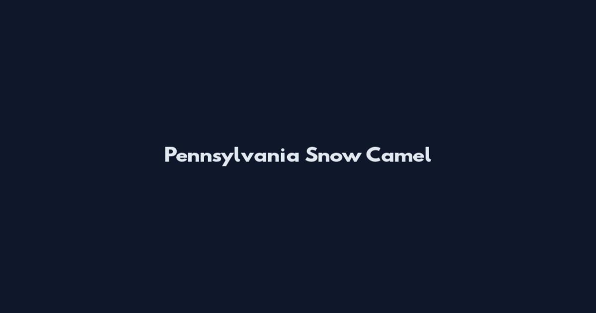 Pennsylvania Snow Camel