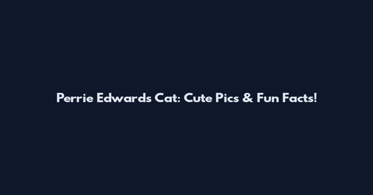 Perrie Edwards Cat: Cute Pics & Fun Facts!