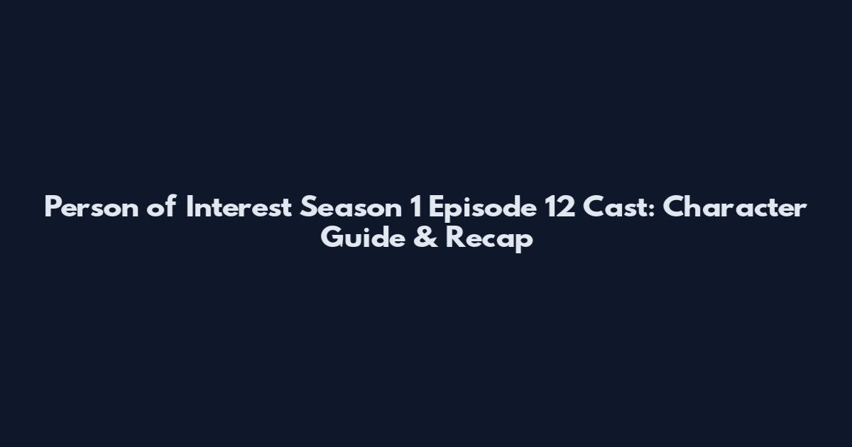 Person of Interest Season 1 Episode 12 Cast: Character Guide & Recap