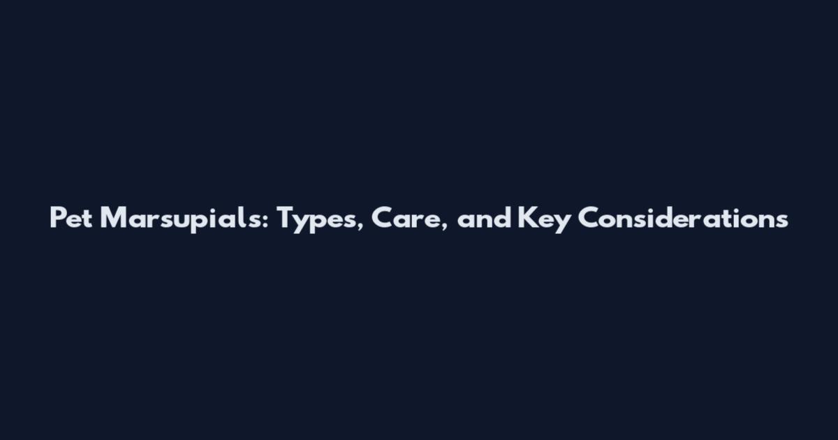 Pet Marsupials: Types, Care, and Key Considerations